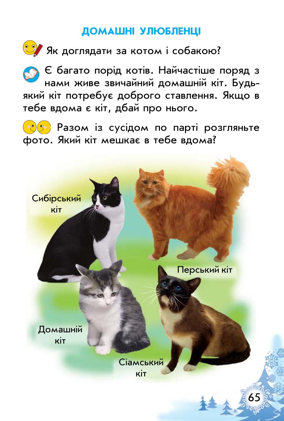 Мініатюра 65