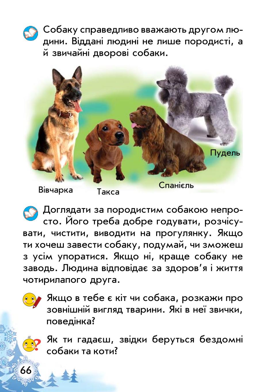 Мініатюра 66