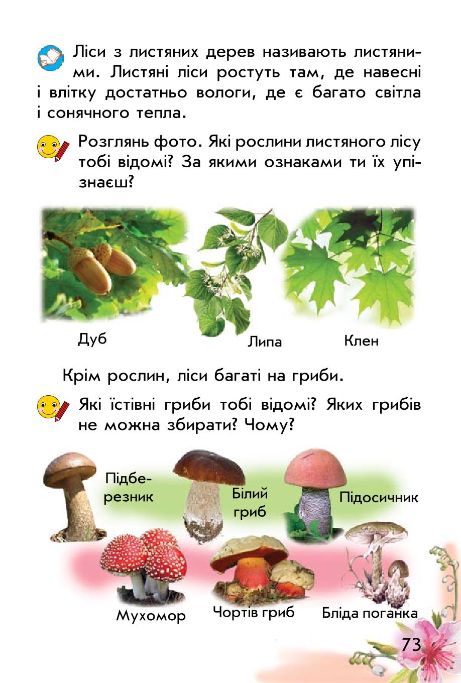 Мініатюра 73