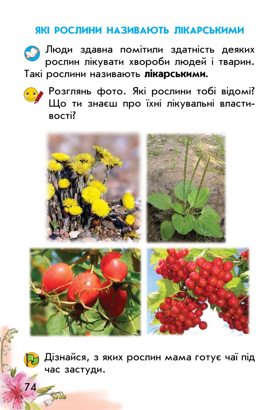 Мініатюра 74