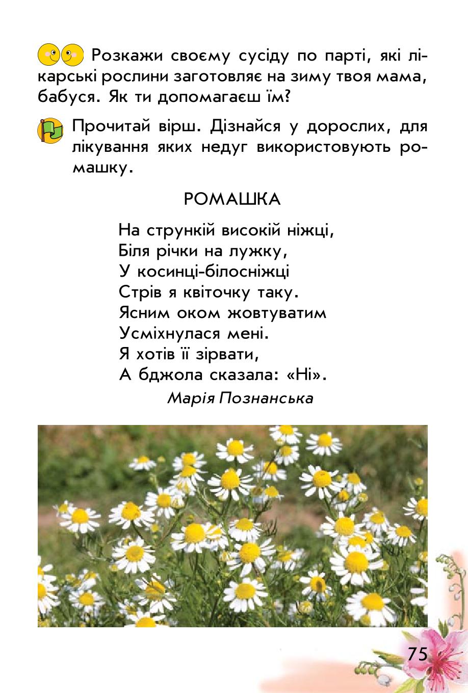 Мініатюра 75