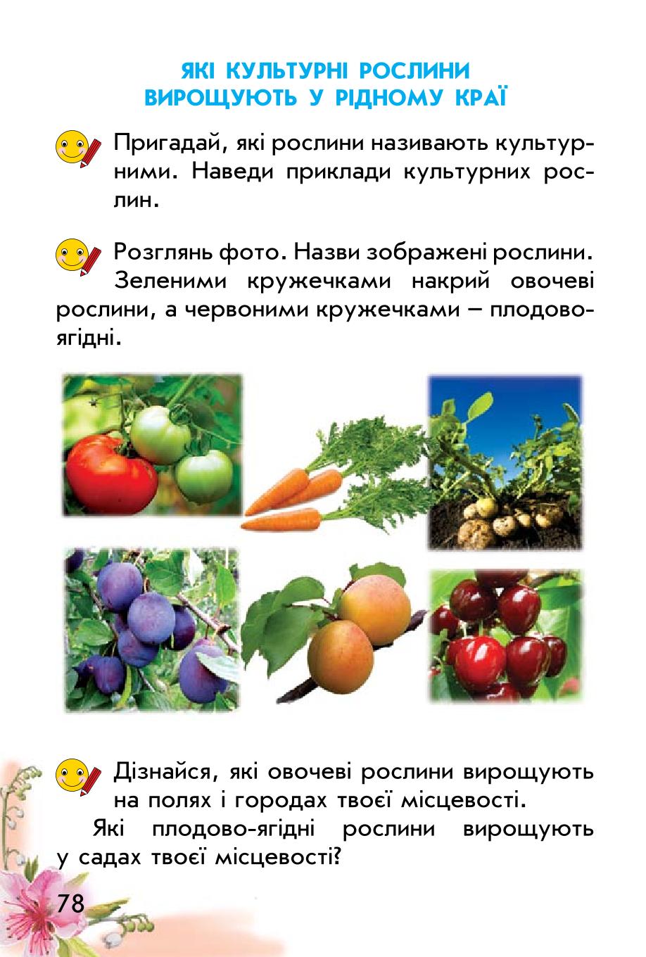 Мініатюра 78