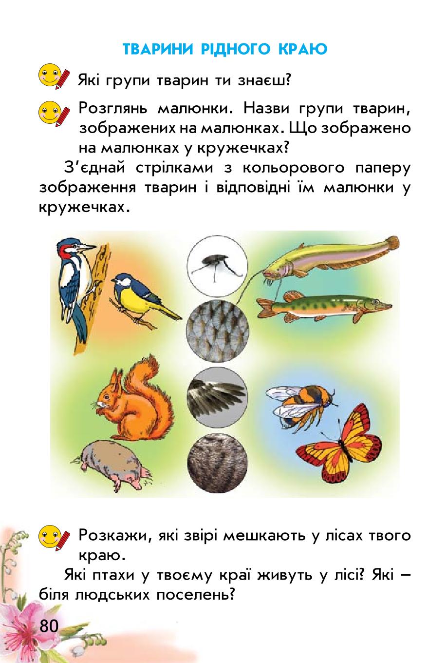 Мініатюра 80