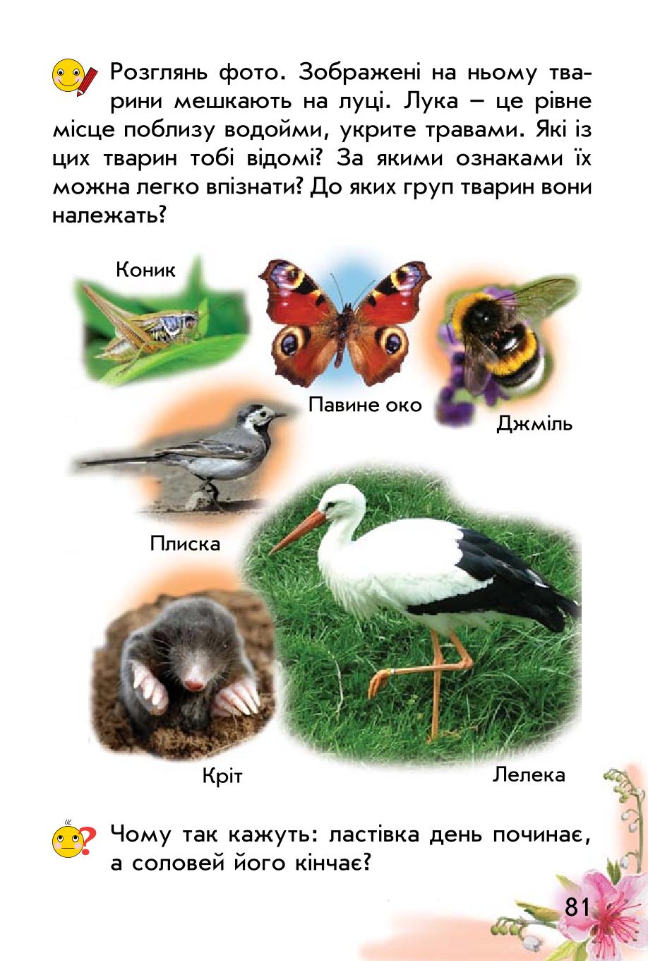 Мініатюра 81