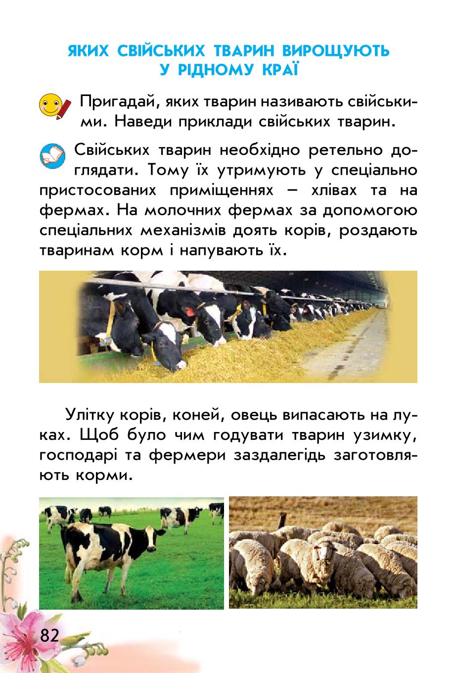Мініатюра 82