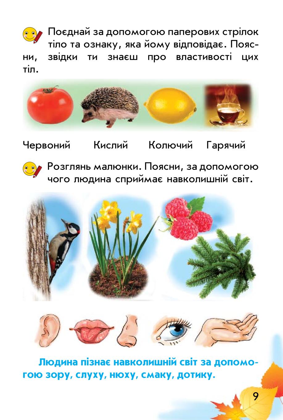 Мініатюра 9