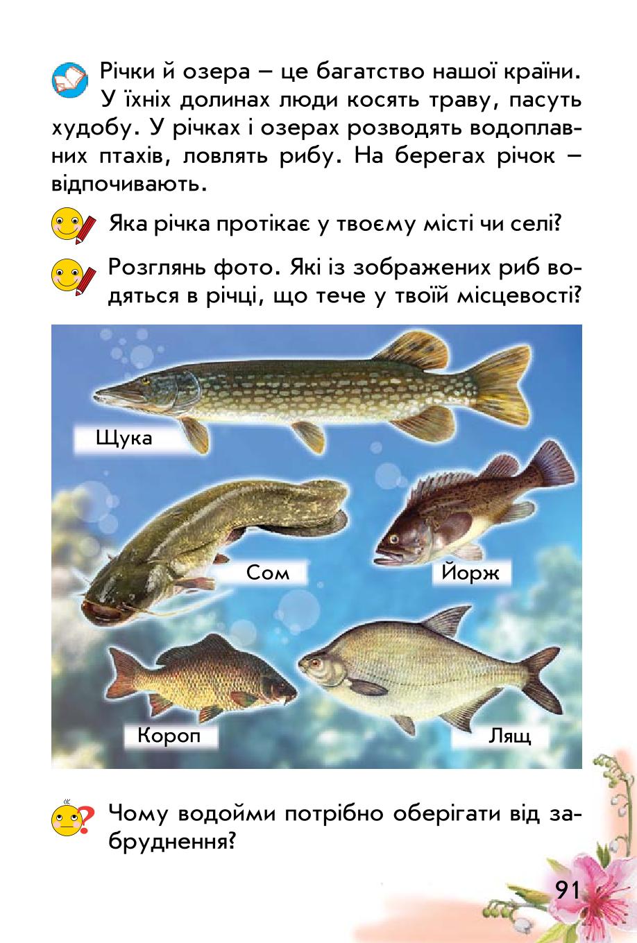 Мініатюра 91