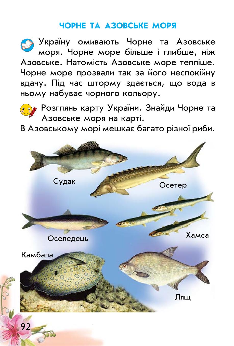Мініатюра 92