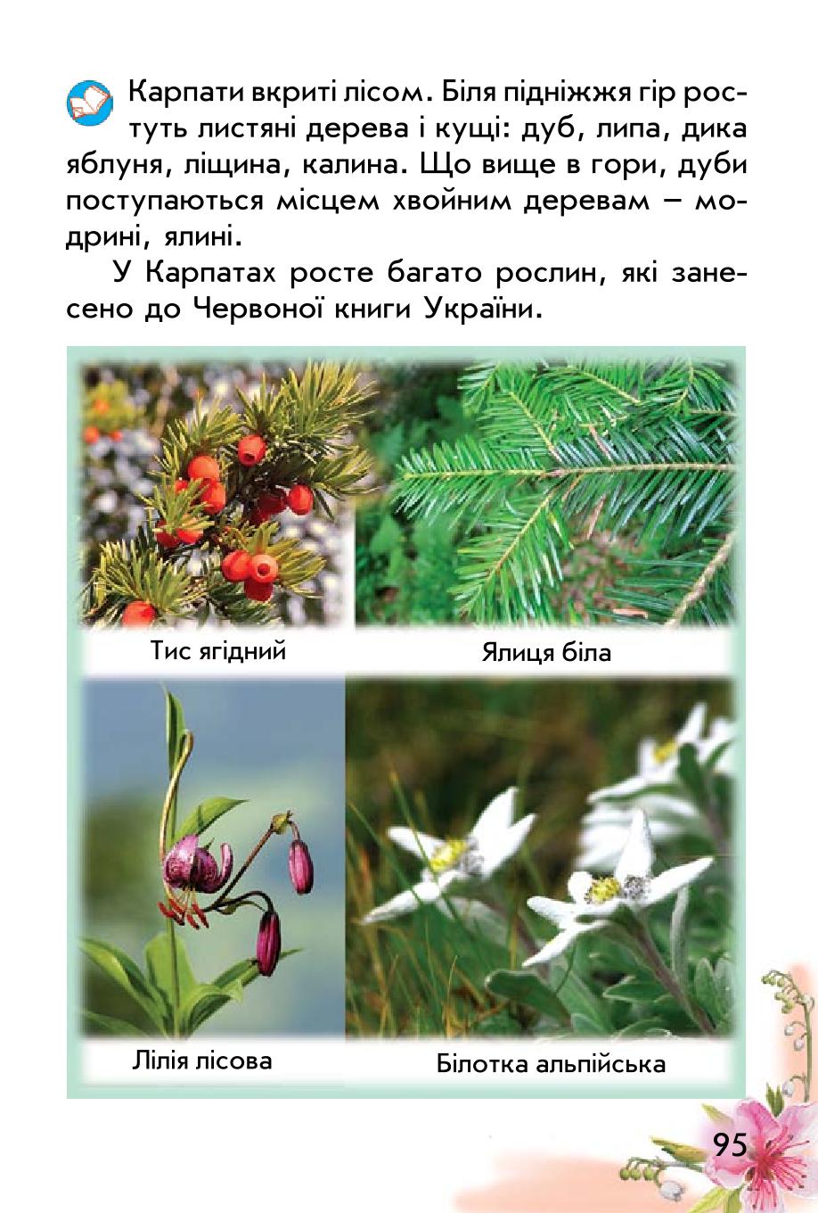 Мініатюра 95