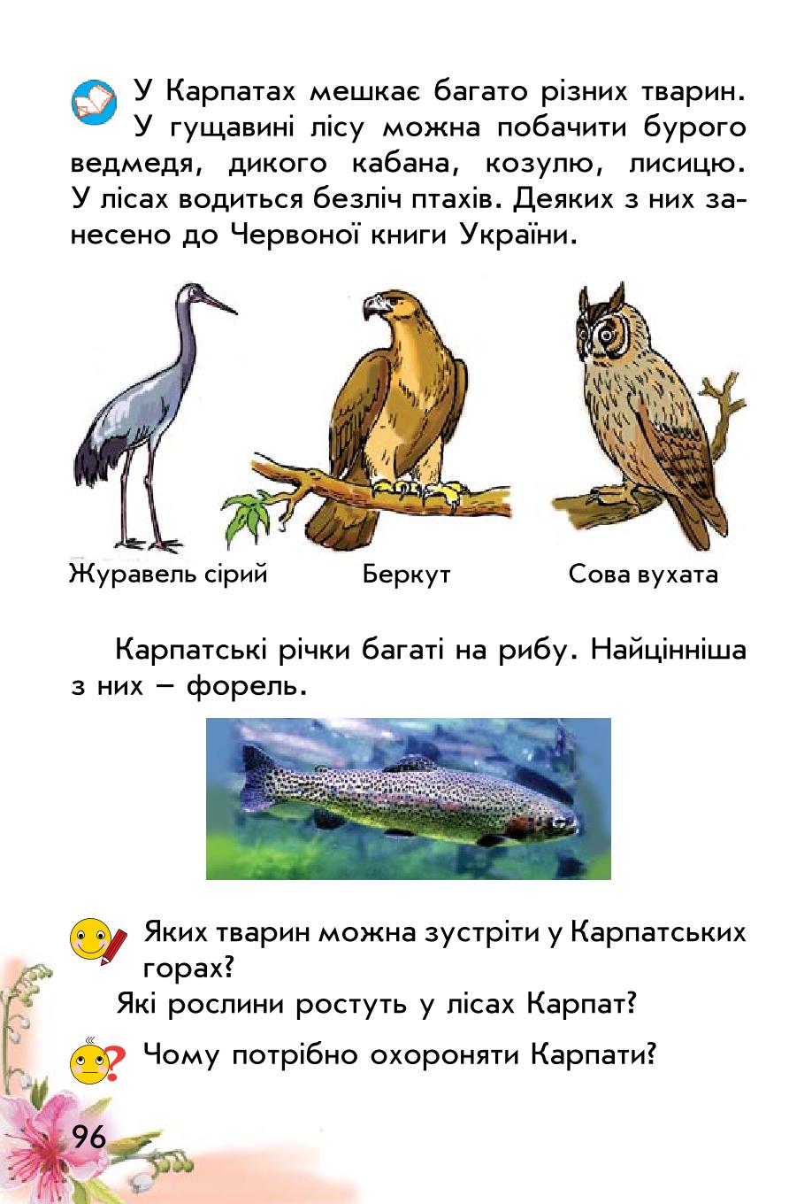 Мініатюра 96
