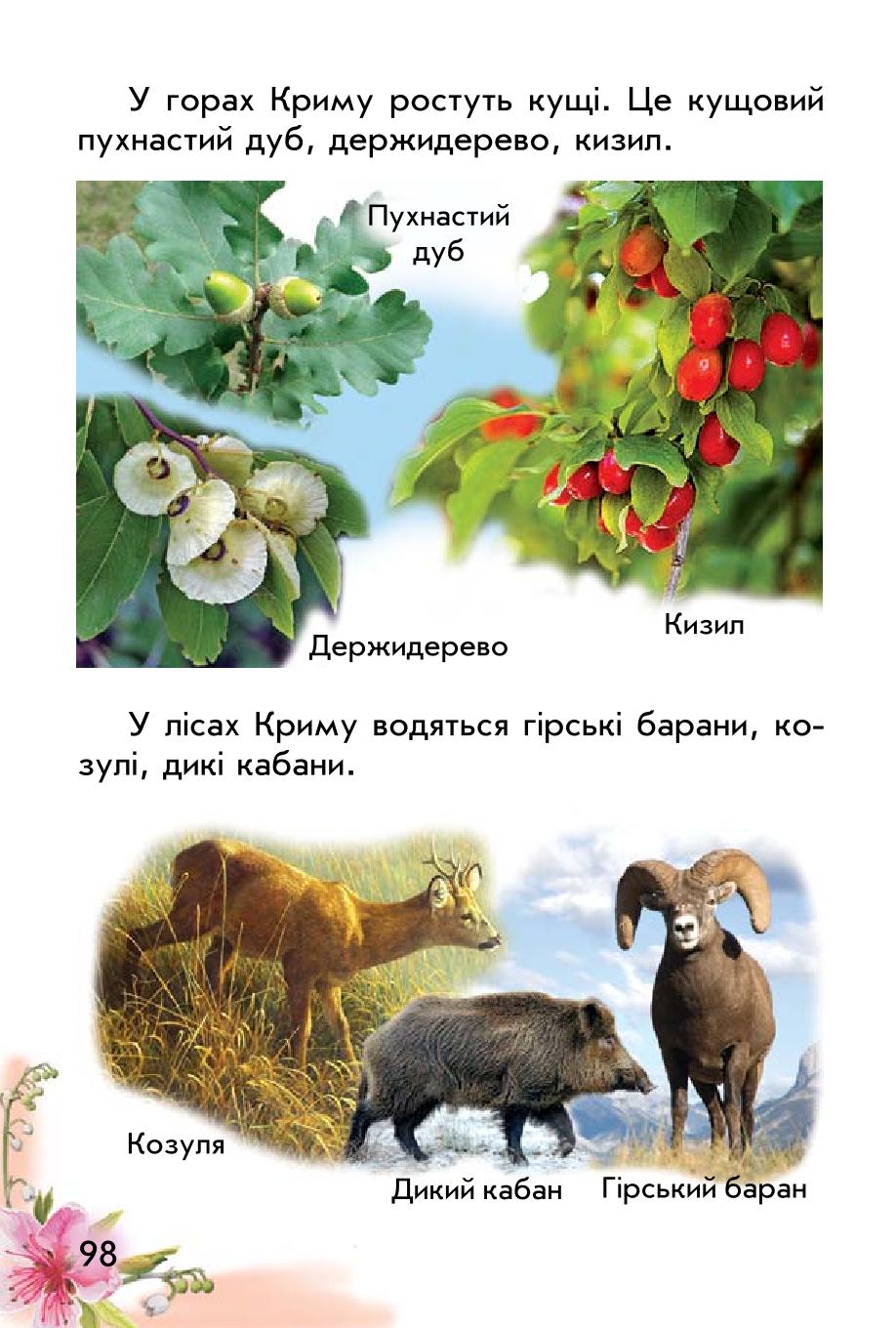Мініатюра 98