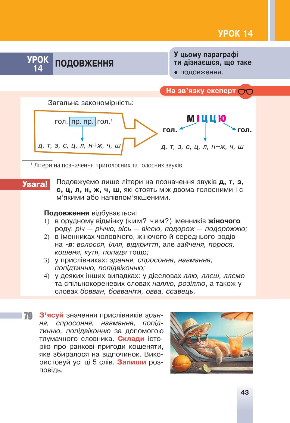 Мініатюра 43