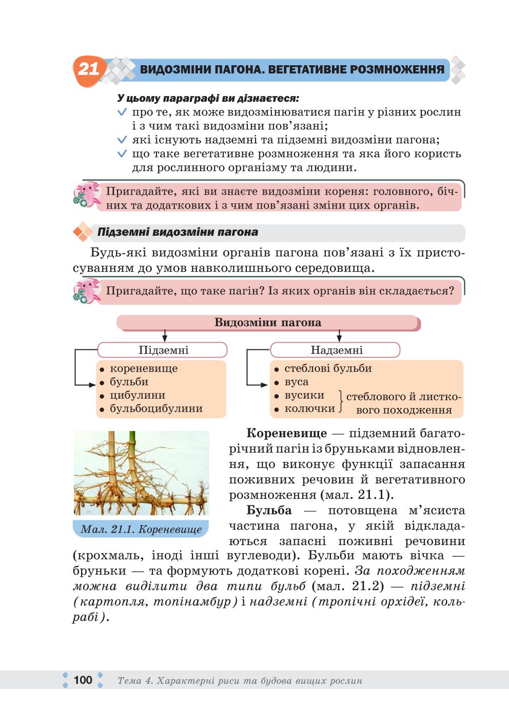 Мініатюра 100