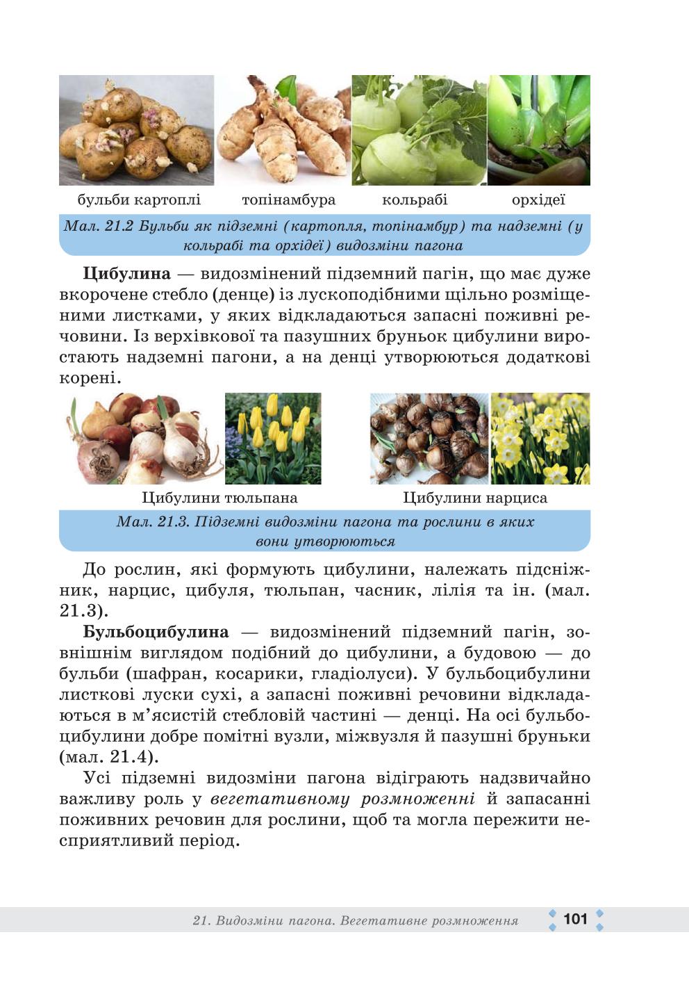 Мініатюра 101