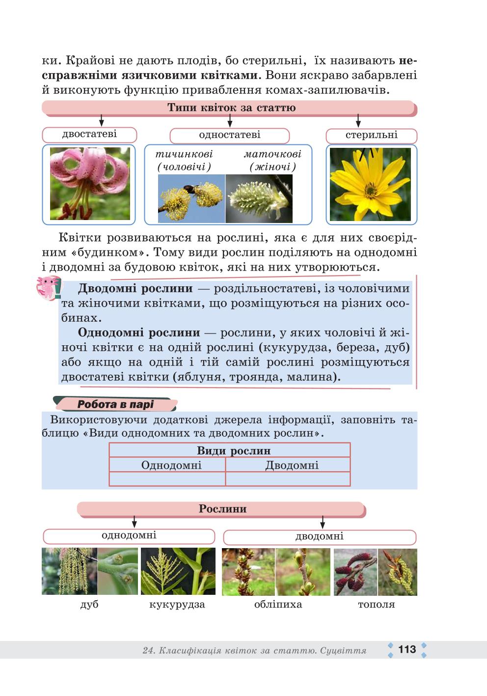Мініатюра 113