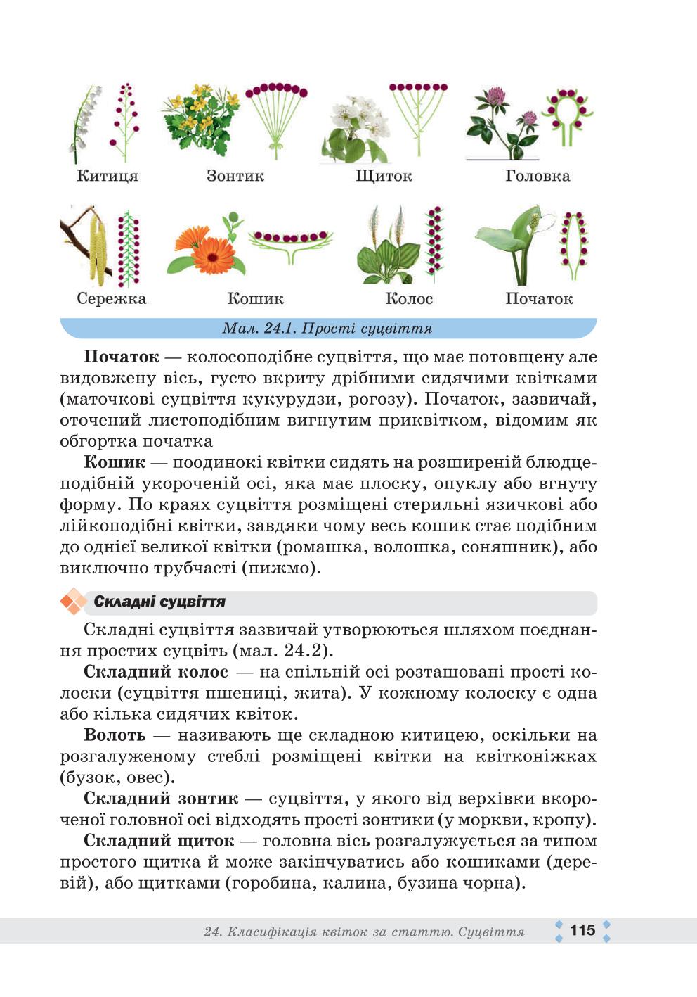 Мініатюра 115