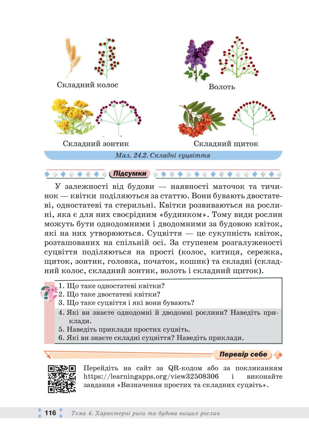 Мініатюра 116