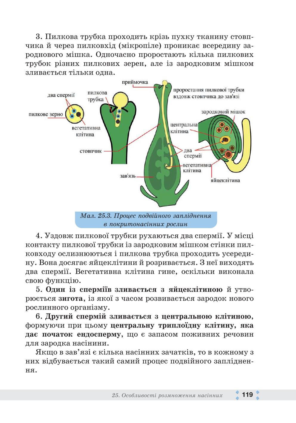 Мініатюра 119