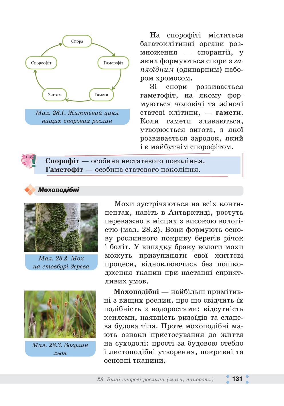 Мініатюра 131