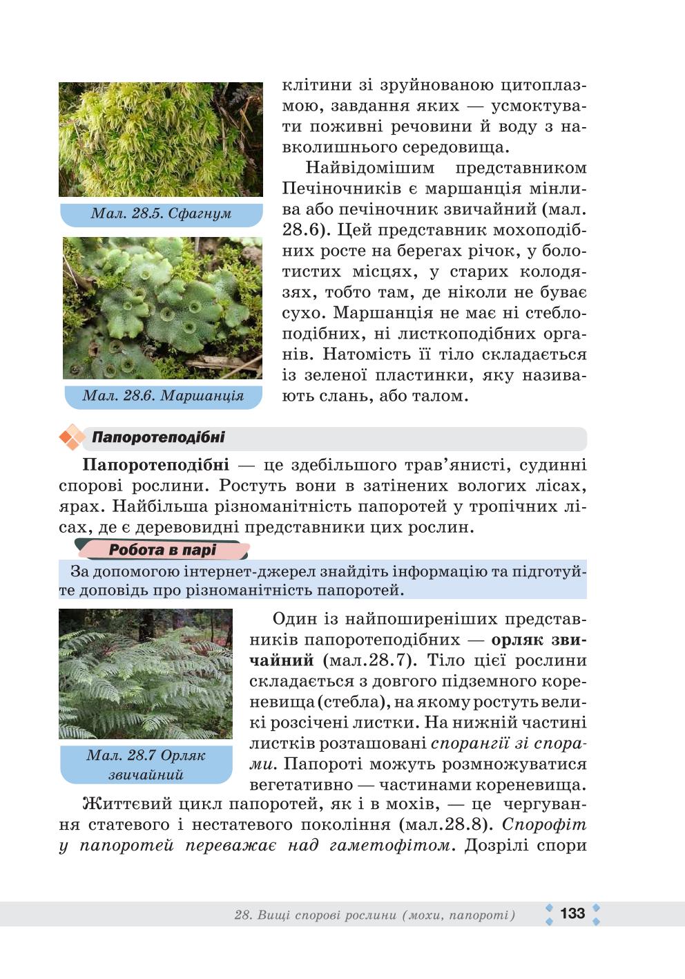 Мініатюра 133
