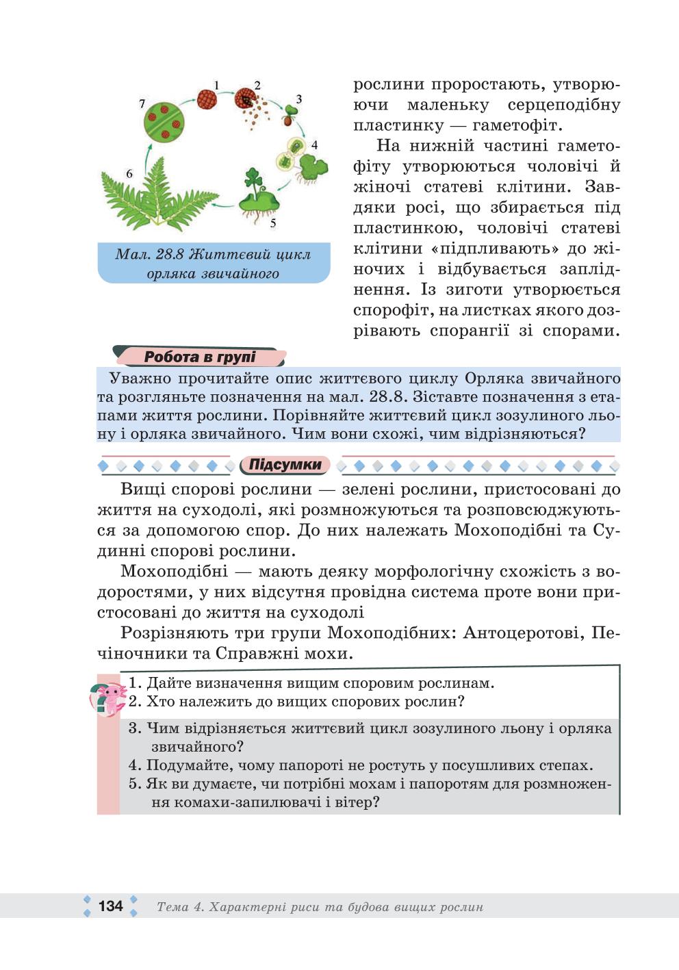 Мініатюра 134