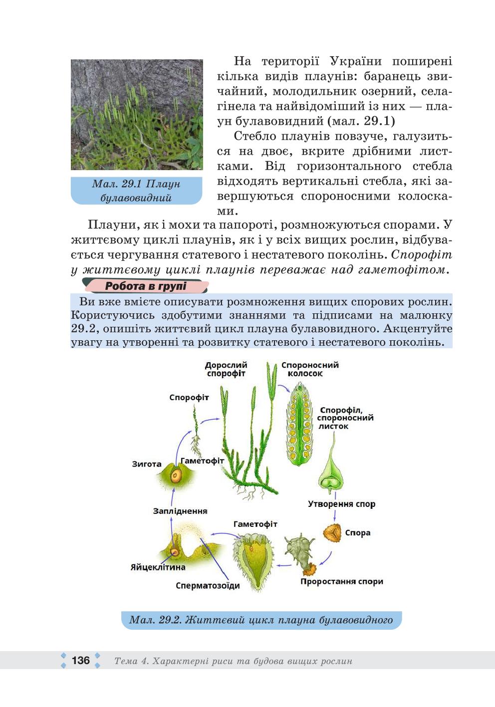 Мініатюра 136
