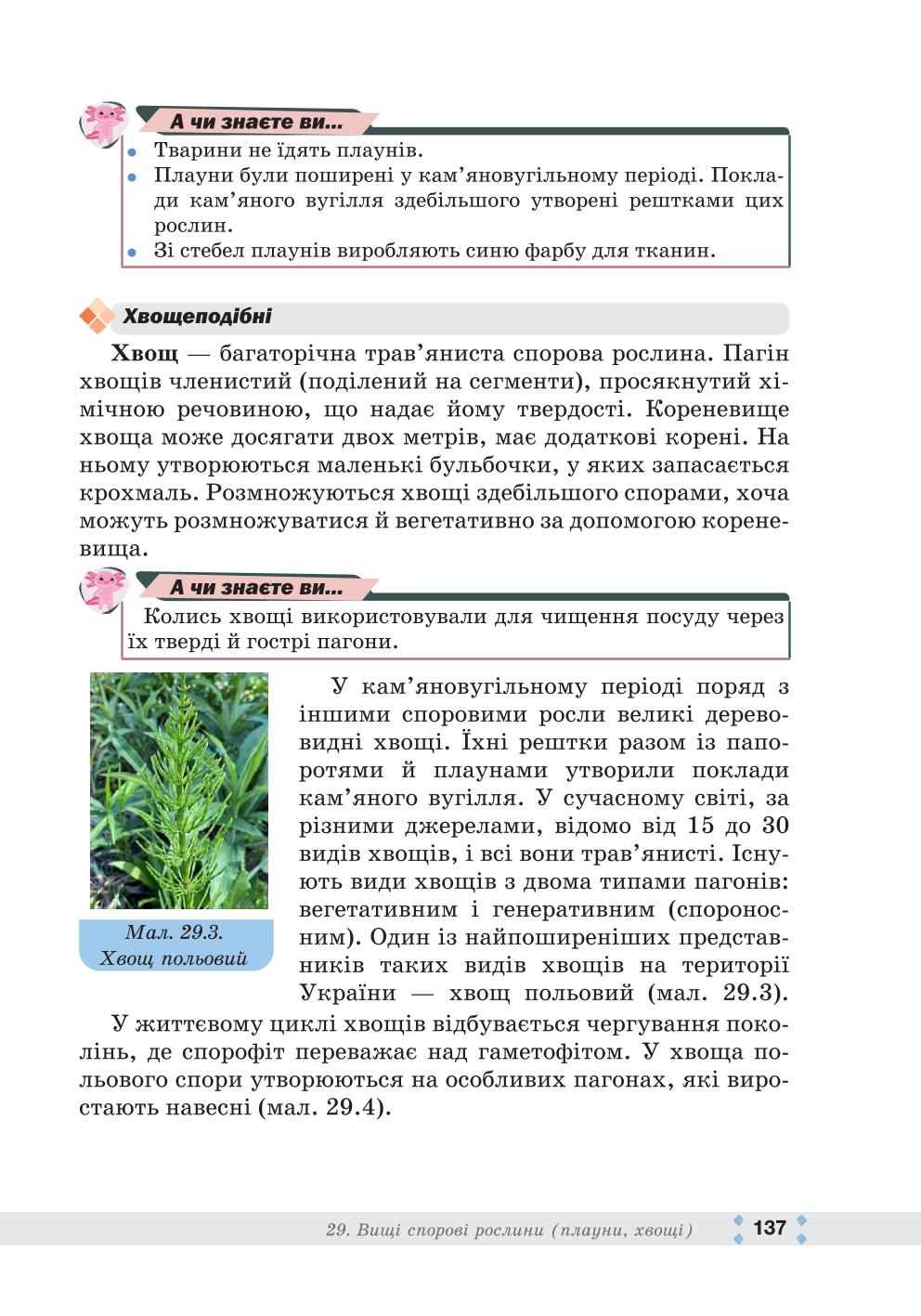 Мініатюра 137