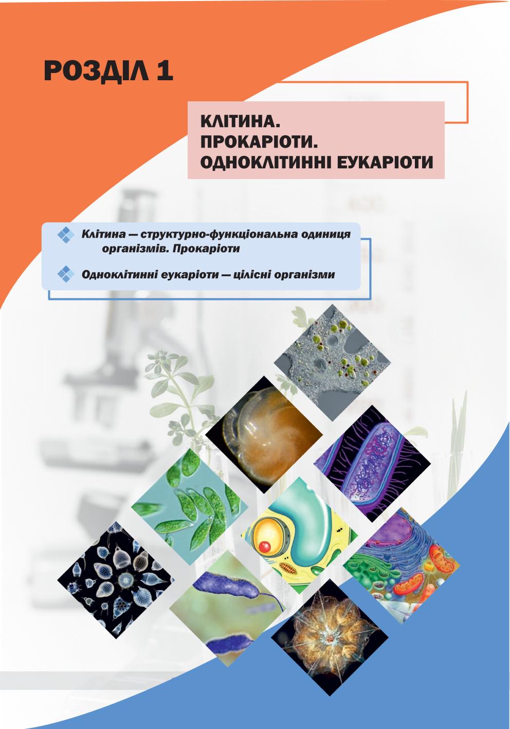 Мініатюра 19