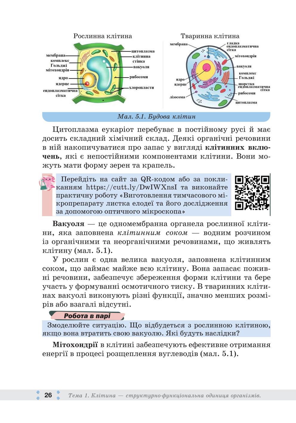 Мініатюра 26