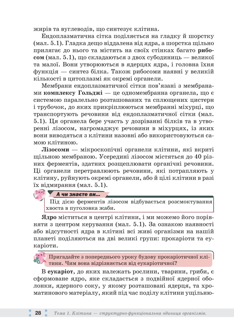 Мініатюра 28