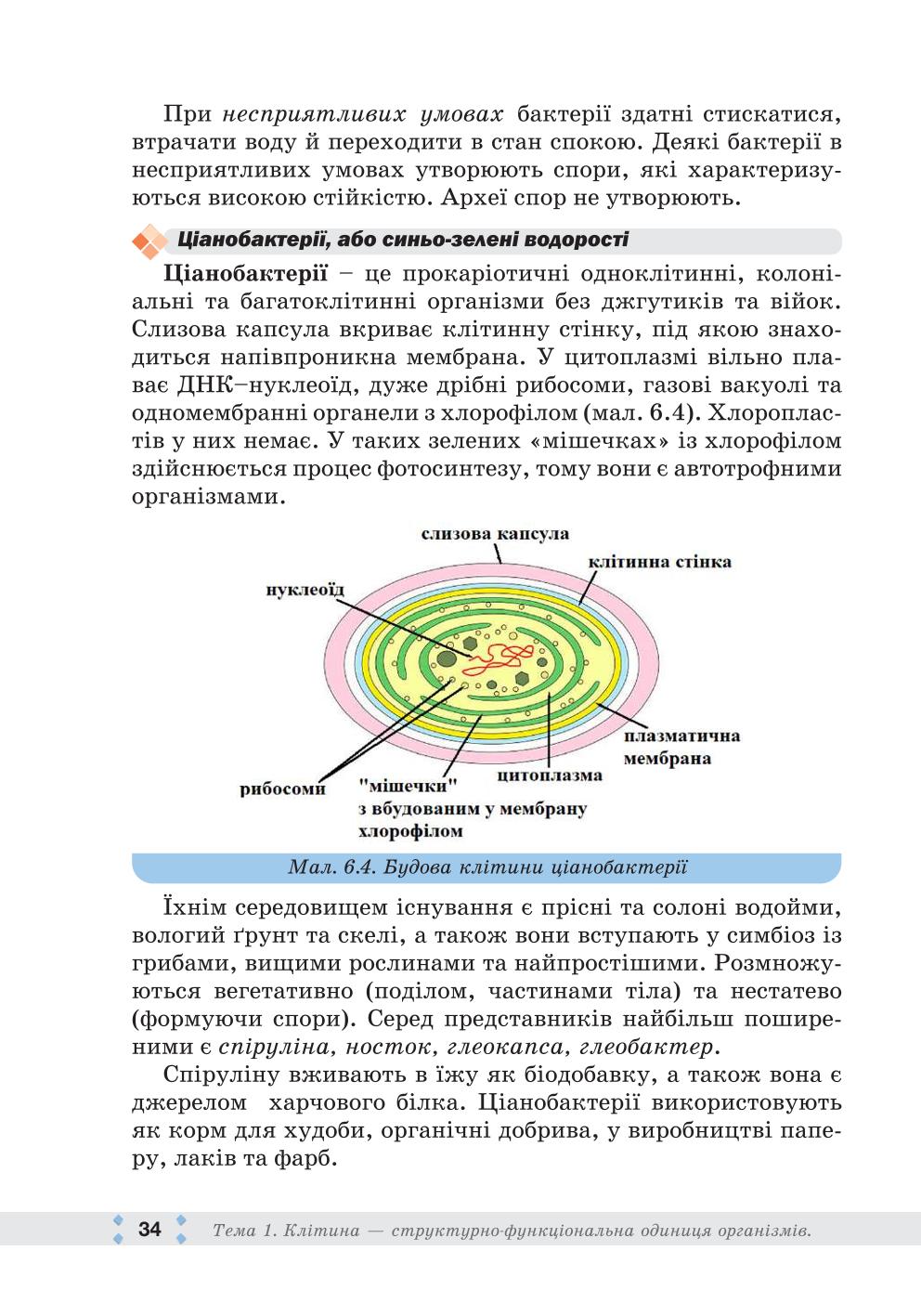 Мініатюра 34