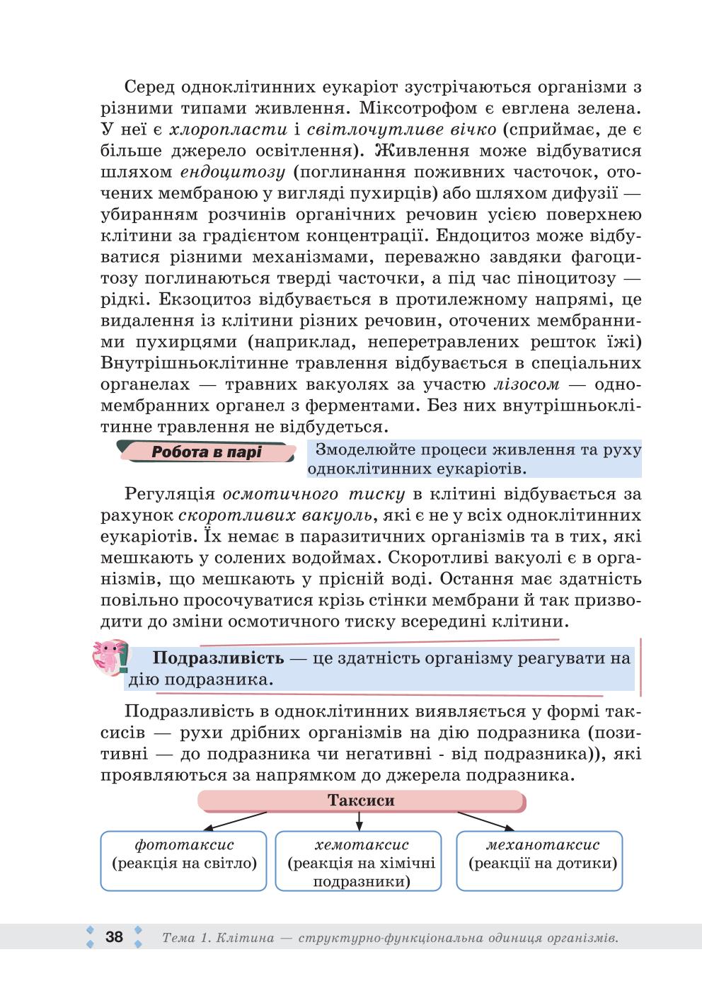 Мініатюра 38
