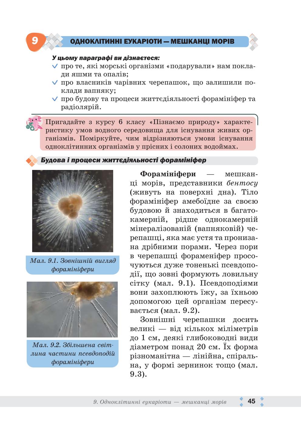 Мініатюра 45