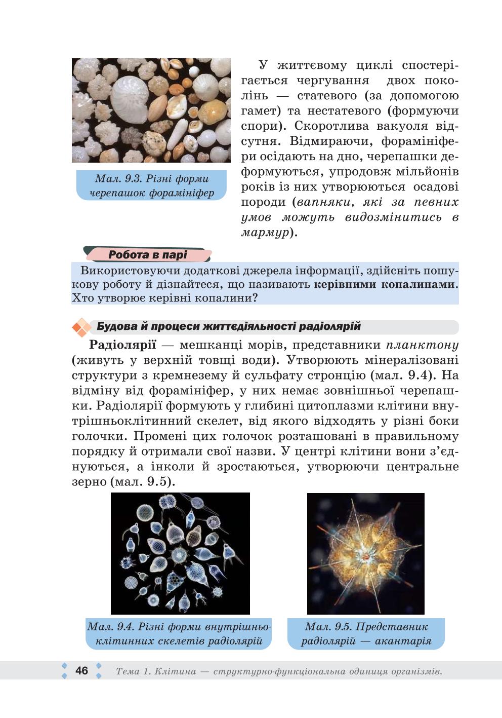 Мініатюра 46