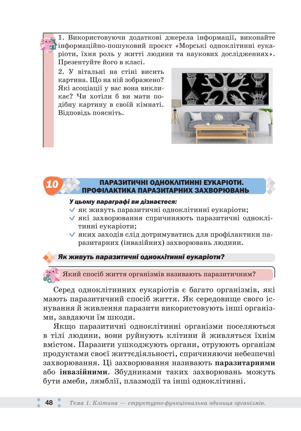 Мініатюра 48