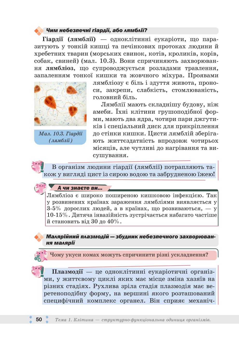 Мініатюра 50