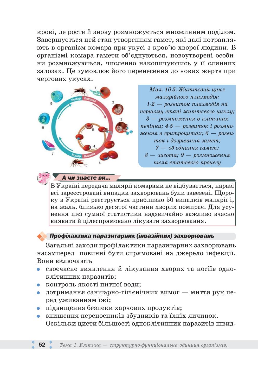 Мініатюра 52