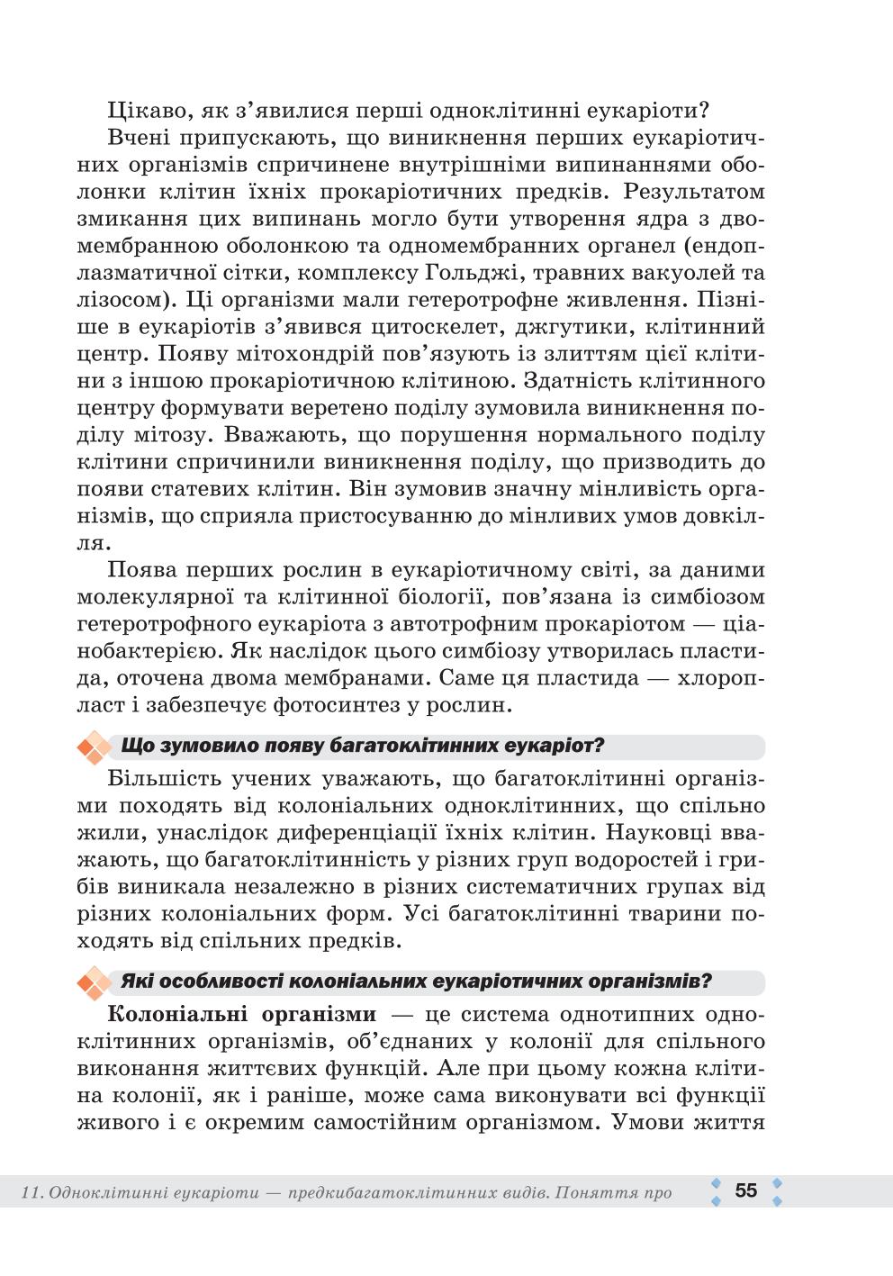 Мініатюра 55