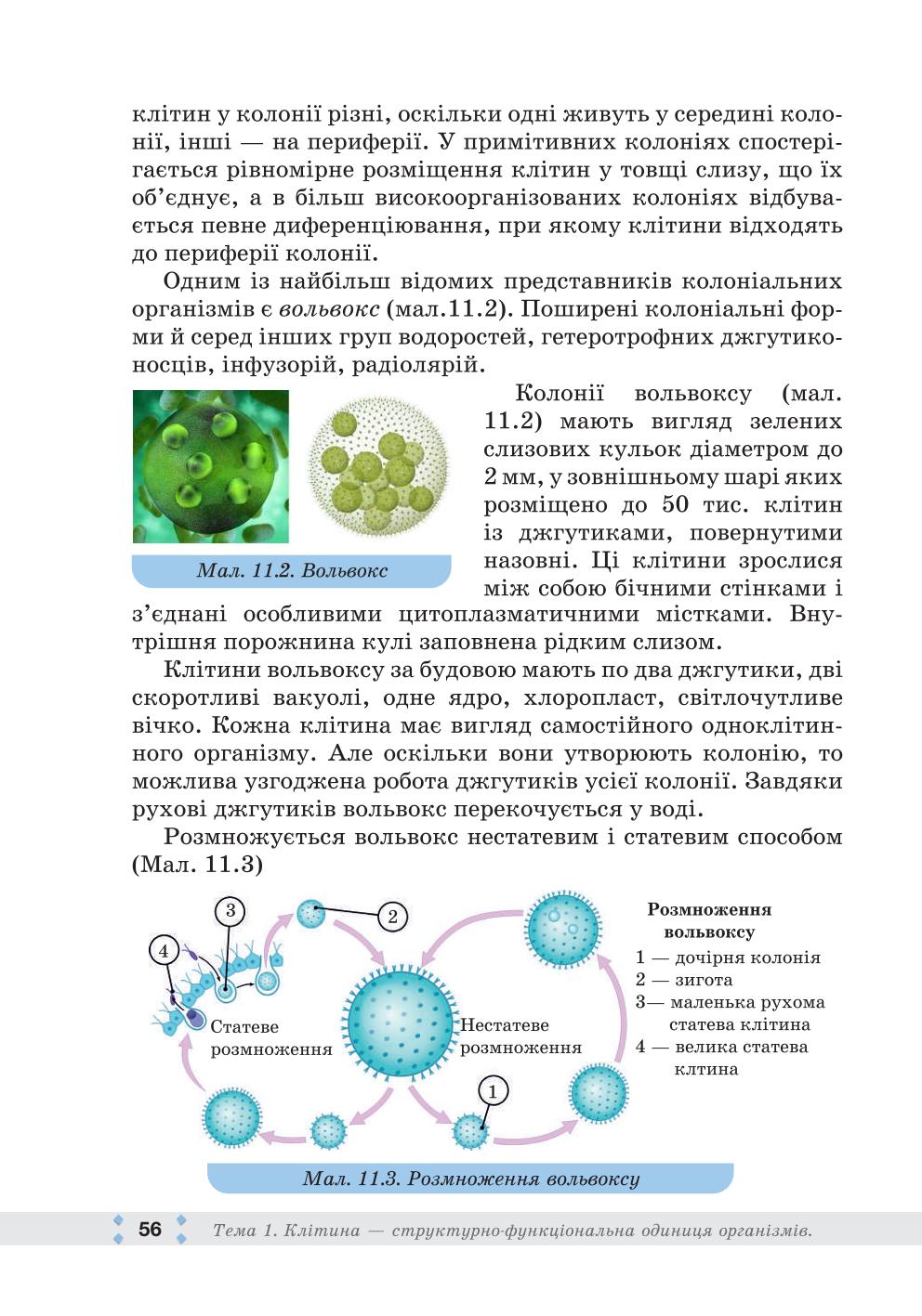 Мініатюра 56