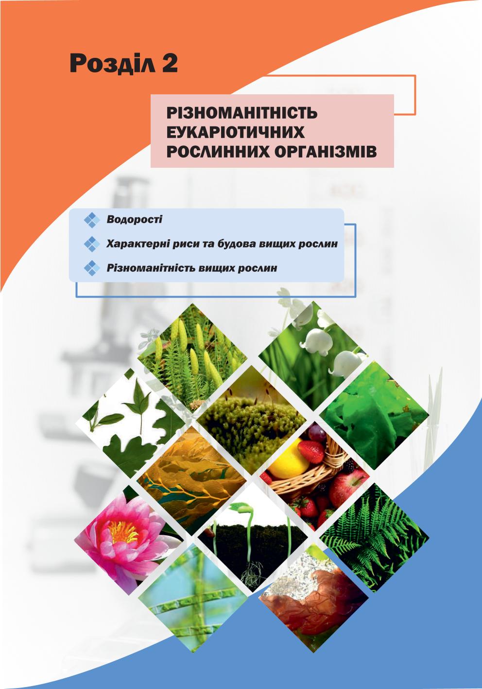 Мініатюра 60