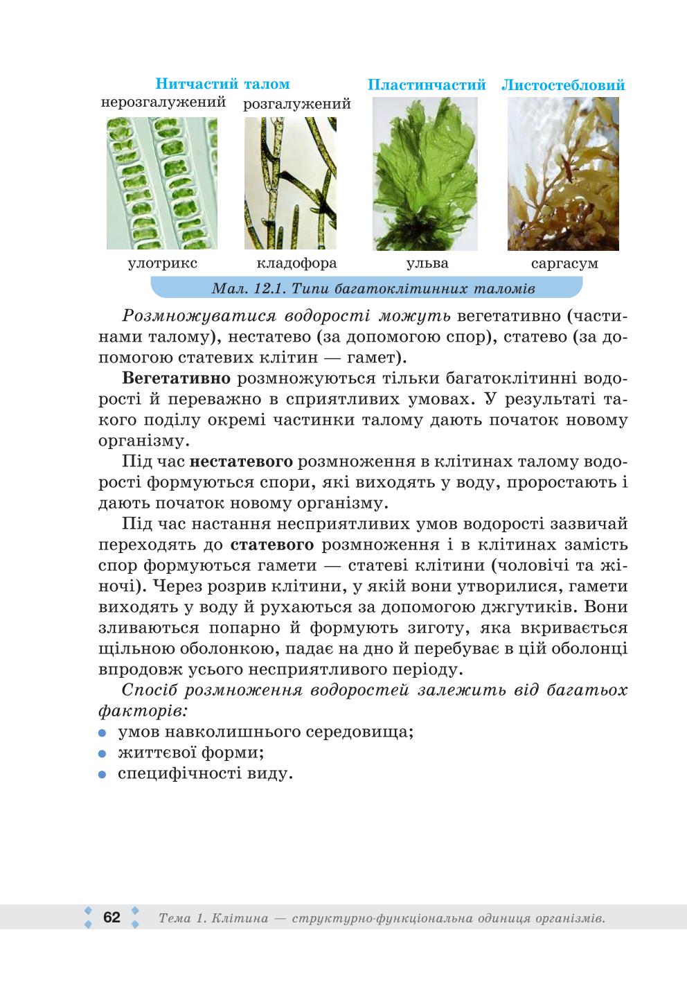 Мініатюра 62