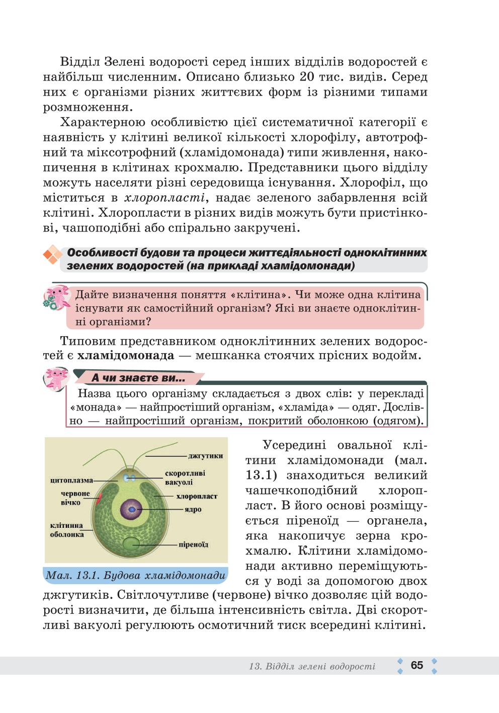 Мініатюра 65