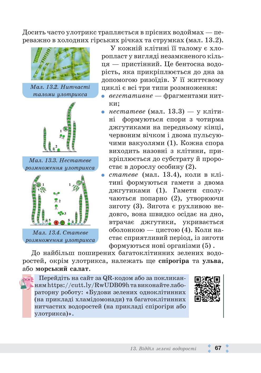 Мініатюра 67