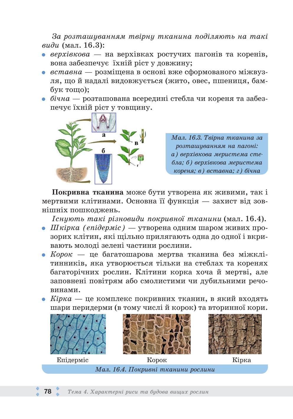 Мініатюра 78