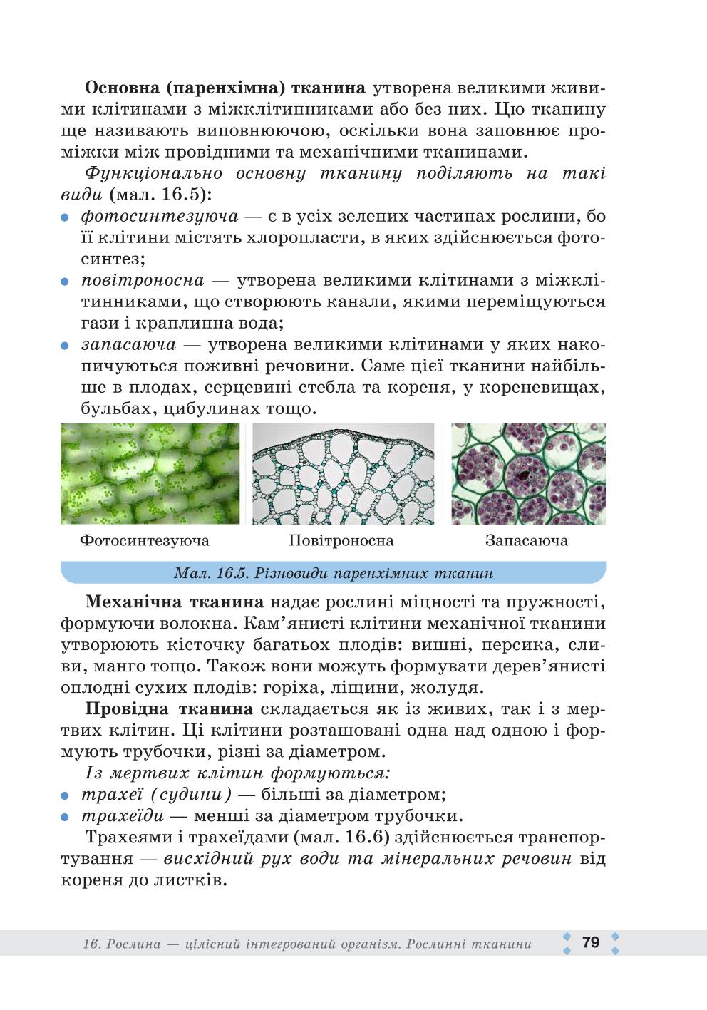 Мініатюра 79