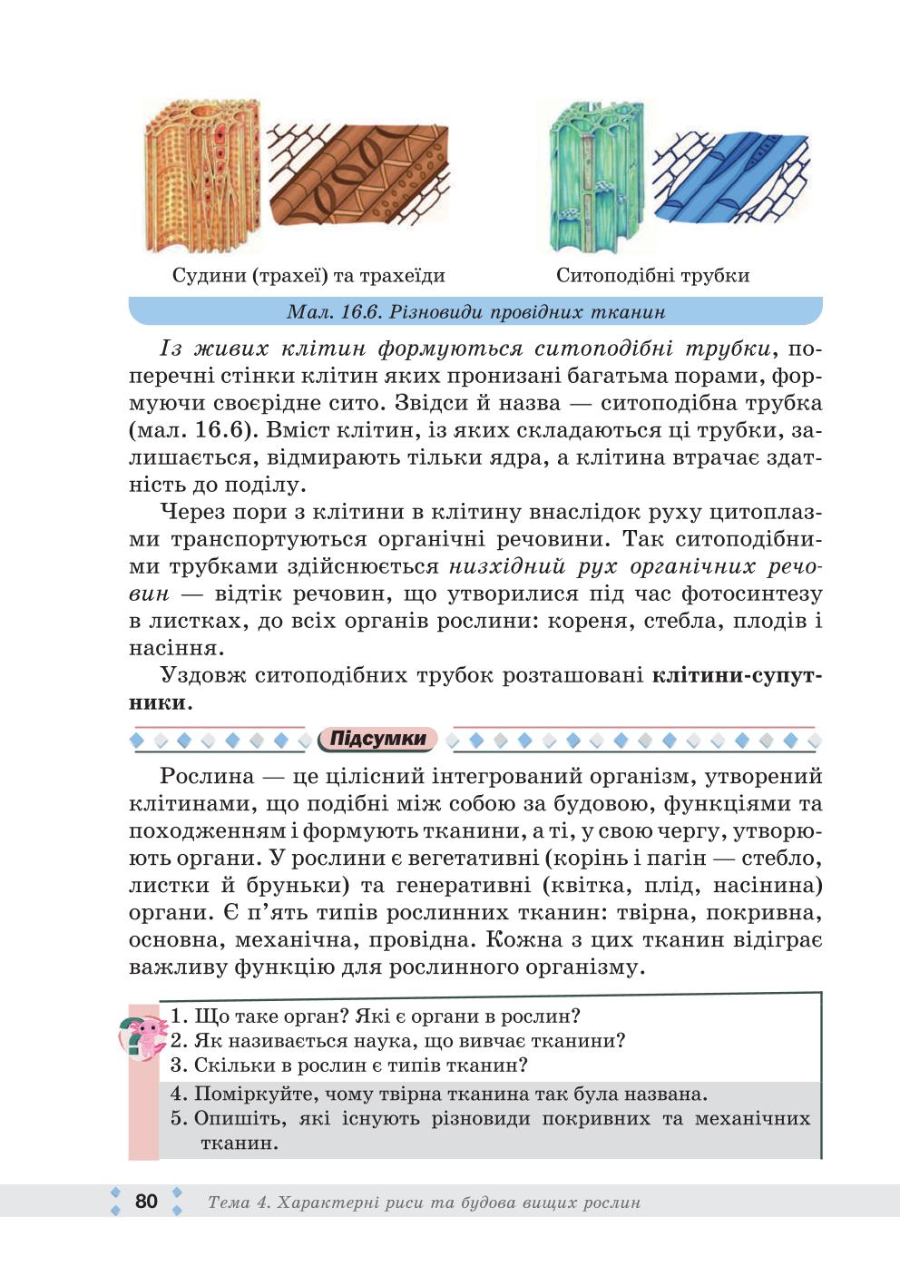 Мініатюра 80