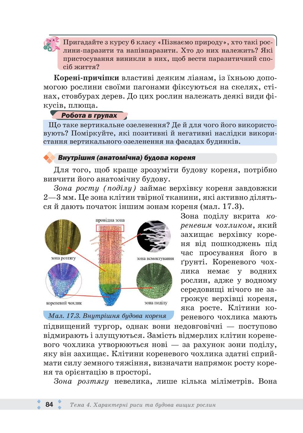 Мініатюра 84