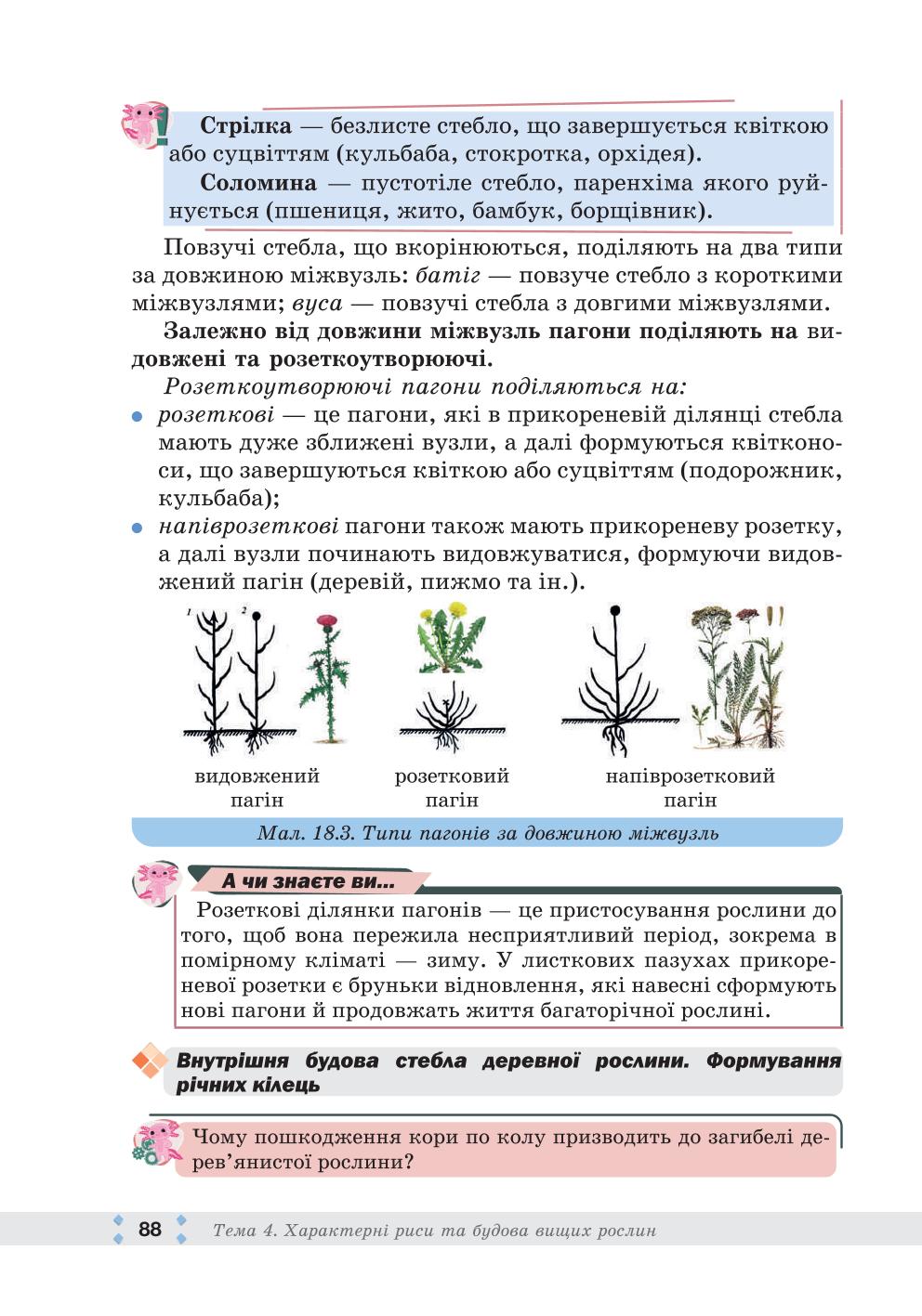 Мініатюра 88