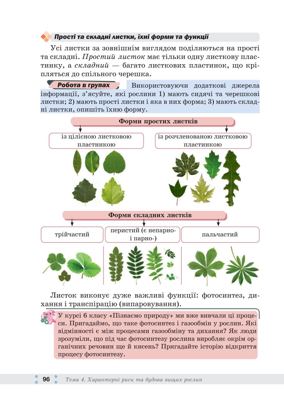 Мініатюра 96