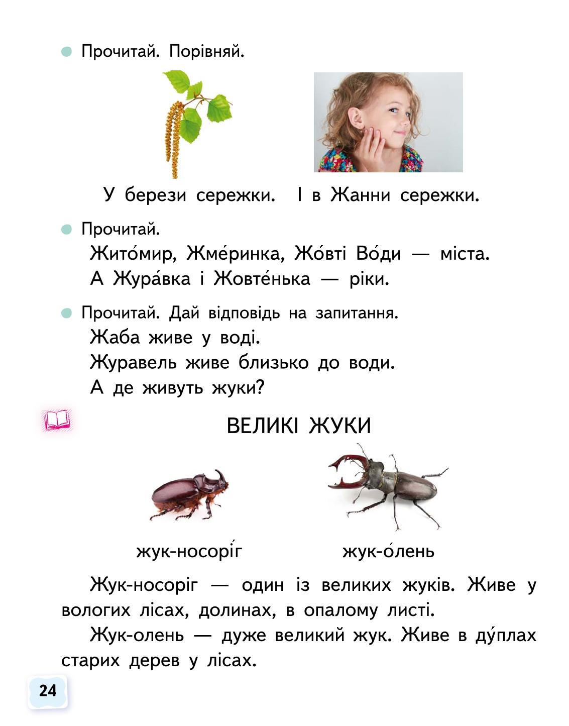 Мініатюра 24
